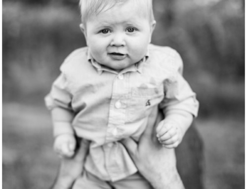 Summer Family and Newborn Sessions in Sweet Madison, Part 2!