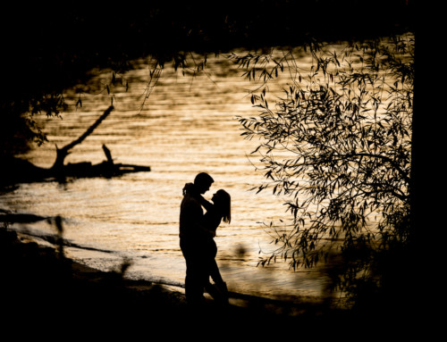 Dylan’s Wedding Proposal to Allie at Picnic Point in Madison WI